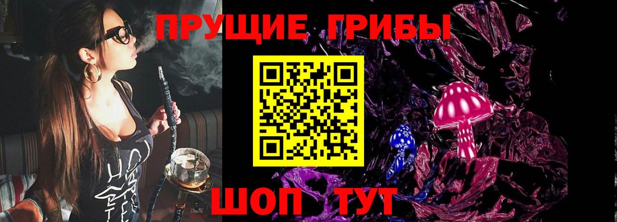 Элиста  Галлюциногенные грибы мухоморы  Вход с VPN 