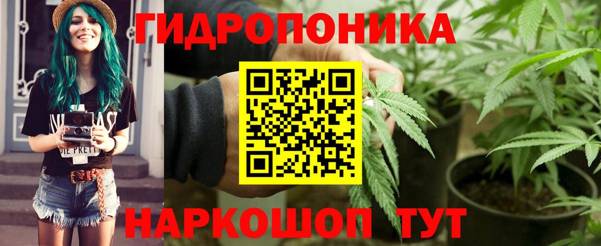 Марихуана ГИДРОПОН Элиста